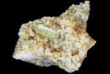 Lustrous, Yellow Apatite Crystal on Feldspar - Morocco #84314-1